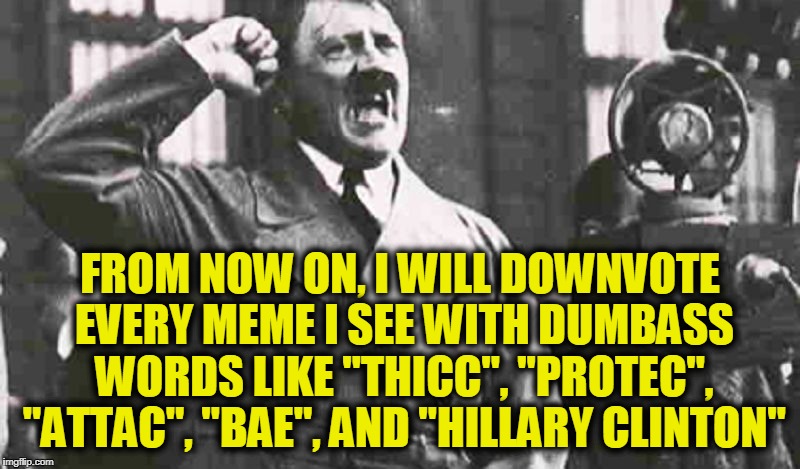 Blitzkreig "BAE" | FROM NOW ON, I WILL DOWNVOTE EVERY MEME I SEE WITH DUMBASS WORDS LIKE "THICC", "PROTEC", "ATTAC", "BAE", AND "HILLARY CLINTON" | image tagged in angry hitler large,funny,memes,mxm | made w/ Imgflip meme maker