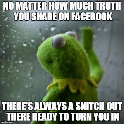 kermet window | NO MATTER HOW MUCH TRUTH YOU SHARE ON FACEBOOK; THERE'S ALWAYS A SNITCH OUT THERE READY TO TURN YOU IN | image tagged in kermet window | made w/ Imgflip meme maker
