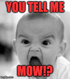 Angry Baby | YOU TELL ME; MOW!? | image tagged in memes,angry baby | made w/ Imgflip meme maker