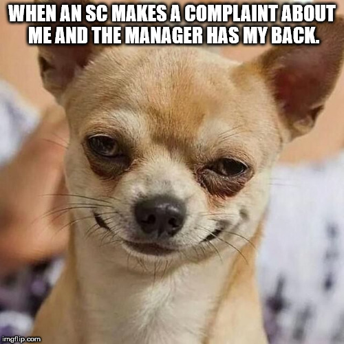 Smirking Dog | WHEN AN SC MAKES A COMPLAINT ABOUT ME AND THE MANAGER HAS MY BACK. | image tagged in smirking dog | made w/ Imgflip meme maker