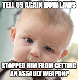 Skeptical Baby Meme | TELL US AGAIN HOW LAWS STOPPED HIM FROM GETTING AN ASSAULT WEAPON? | image tagged in memes,skeptical baby | made w/ Imgflip meme maker
