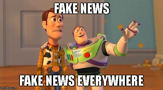 TOYSTORY EVERYWHERE | FAKE NEWS; FAKE NEWS EVERYWHERE | image tagged in toystory everywhere | made w/ Imgflip meme maker