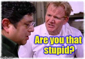 Gordon Ramsay Are You That Stupid? | Are you that stupid? | image tagged in angry chef gordon ramsay,gordon ramsey meme,memes,are you that stupid,kitchen nightmares | made w/ Imgflip meme maker