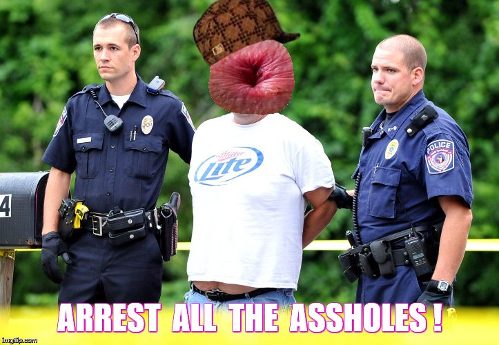 ARREST  ALL  THE  ASSHOLES ! | made w/ Imgflip meme maker