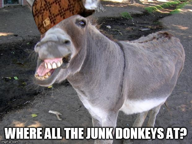 Donkey | WHERE ALL THE JUNK DONKEYS AT? | image tagged in donkey,scumbag | made w/ Imgflip meme maker