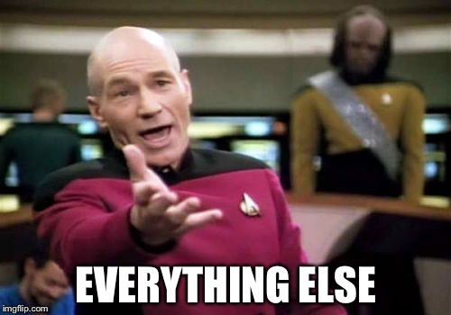 Picard Wtf Meme | EVERYTHING ELSE | image tagged in memes,picard wtf | made w/ Imgflip meme maker