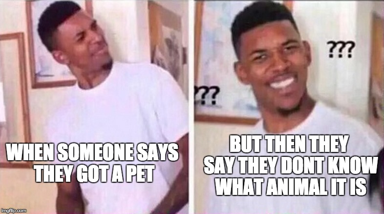 BUT THEN THEY SAY THEY DONT KNOW WHAT ANIMAL IT IS; WHEN SOMEONE SAYS THEY GOT A PET | image tagged in bruh face,question | made w/ Imgflip meme maker