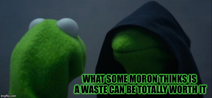 Evil Kermit Meme | WHAT SOME MORON THINKS IS A WASTE CAN BE TOTALLY WORTH IT | image tagged in memes,evil kermit | made w/ Imgflip meme maker