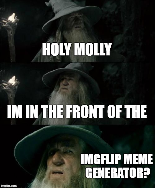 Confused Gandalf Meme | HOLY MOLLY; IM IN THE FRONT OF THE; IMGFLIP MEME GENERATOR? | image tagged in memes,confused gandalf | made w/ Imgflip meme maker