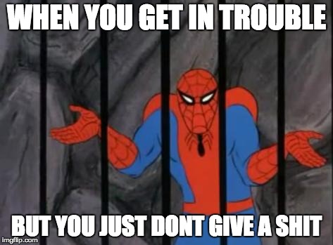 Already used to it |  WHEN YOU GET IN TROUBLE; BUT YOU JUST DONT GIVE A SHIT | image tagged in spiderman jail | made w/ Imgflip meme maker