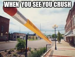 WHEN  YOU SEE YOU CRUSH | image tagged in love | made w/ Imgflip meme maker