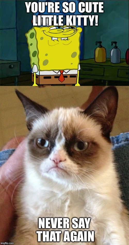 Not so adorable | YOU'RE SO CUTE LITTLE KITTY! NEVER SAY THAT AGAIN | image tagged in grumpy cat,cute cat,don't you squidward | made w/ Imgflip meme maker