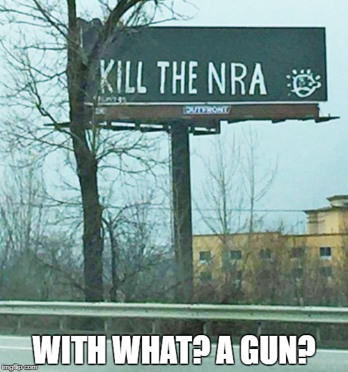 That's a lofty idea. |  WITH WHAT? A GUN? | image tagged in nra,gun control,liberal logic,political meme | made w/ Imgflip meme maker