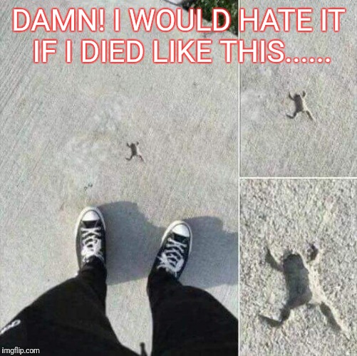 DAMN! I WOULD HATE IT IF I DIED LIKE THIS...... | image tagged in sht out of luck | made w/ Imgflip meme maker