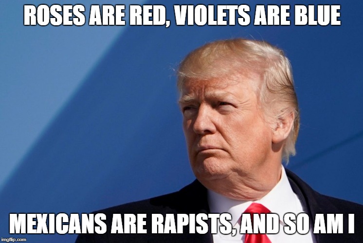 Donald Trump Rape Meme | ROSES ARE RED, VIOLETS ARE BLUE; MEXICANS ARE RAPISTS, AND SO AM I | image tagged in donald trump,trump,trump 2016,donald trump approves,bad pun trump | made w/ Imgflip meme maker