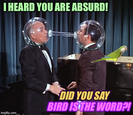 Get Smart - The Cone of Silence |  I HEARD YOU ARE ABSURD! DID YOU SAY     BIRD IS THE WORD?! DID YOU SAY | image tagged in get smart,spy,spies,secret service,tv humor | made w/ Imgflip meme maker