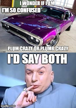 Plum or Plumb Crazy | I'M SO CONFUSED | image tagged in car memes,dr evil,funny meme | made w/ Imgflip meme maker