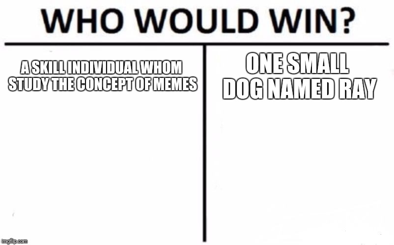 Who Would Win? | A SKILL INDIVIDUAL WHOM STUDY THE CONCEPT OF MEMES; ONE SMALL DOG NAMED RAY | image tagged in memes,who would win | made w/ Imgflip meme maker