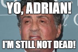 sylvester stallone | YO, ADRIAN! I'M STILL NOT DEAD! | image tagged in sylvester stallone | made w/ Imgflip meme maker