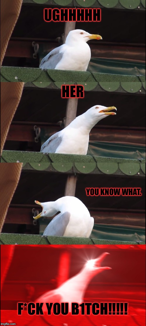 This is for your enemies! | UGHHHHH; HER; YOU KNOW WHAT. F*CK YOU B1TCH!!!!! | image tagged in memes,inhaling seagull,meme,enemy,enemies | made w/ Imgflip meme maker