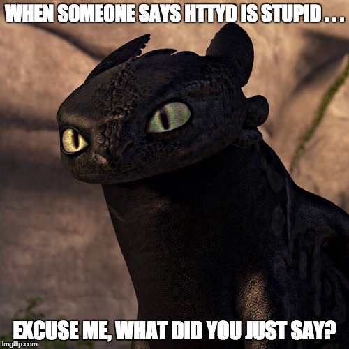WHEN SOMEONE SAYS HTTYD IS STUPID . . . EXCUSE ME, WHAT DID YOU JUST SAY? | image tagged in toothless,how to train your dragon | made w/ Imgflip meme maker