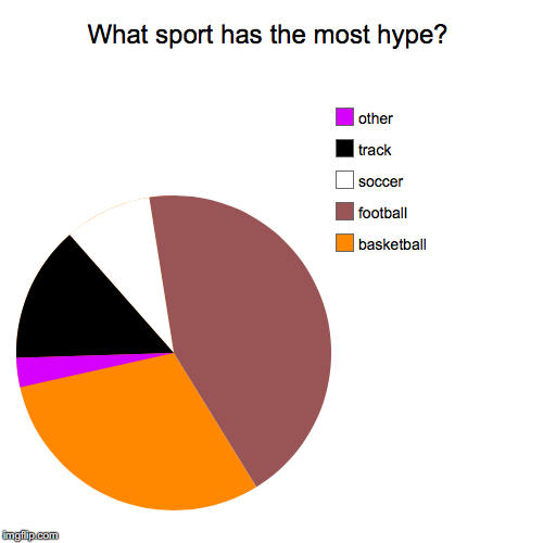What sport has the most hype? | basketball, football, soccer, track, other | image tagged in funny,pie charts | made w/ Imgflip chart maker