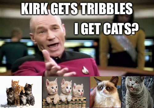 I think they hate Klingons. | KIRK GETS TRIBBLES; I GET CATS? | image tagged in memes,picard wtf,grumpy cat,cats,kirk,funny | made w/ Imgflip meme maker