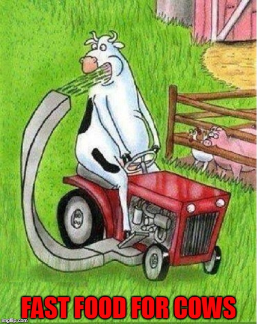 Moderning Farming | FAST FOOD FOR COWS | image tagged in vince vance,cow cartoon,cow riding a mower,farm cartoon | made w/ Imgflip meme maker