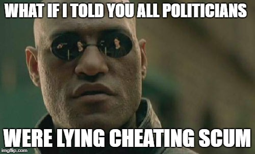 Matrix Morpheus Meme | WHAT IF I TOLD YOU ALL POLITICIANS WERE LYING CHEATING SCUM | image tagged in memes,matrix morpheus | made w/ Imgflip meme maker