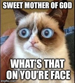 Grumpy Cat Shocked | SWEET MOTHER OF GOD; WHAT’S THAT ON YOU’RE FACE | image tagged in grumpy cat shocked | made w/ Imgflip meme maker