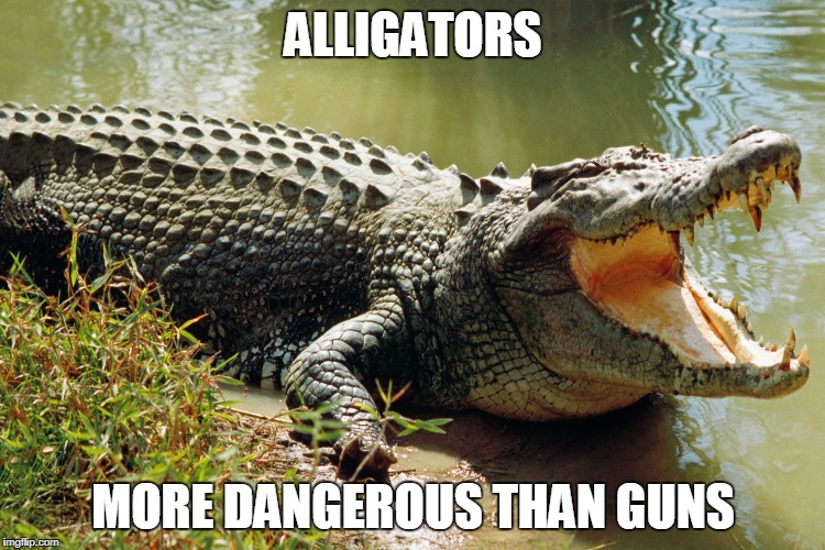 alligators more dangerous than guns | ALLIGATORS; MORE DANGEROUS THAN GUNS | image tagged in nikolas cruz,guns,gun control,florida,alligator,2nd amendment | made w/ Imgflip meme maker