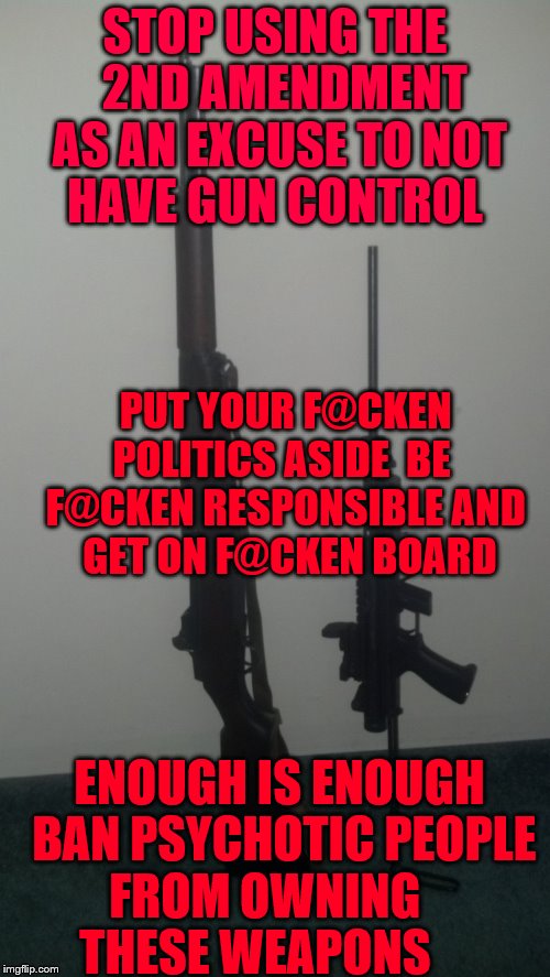 Assault weapons?  | STOP USING THE  2ND AMENDMENT AS AN EXCUSE TO NOT HAVE GUN CONTROL; PUT YOUR F@CKEN POLITICS ASIDE  BE  F@CKEN RESPONSIBLE AND  GET ON F@CKEN BOARD; ENOUGH IS ENOUGH BAN PSYCHOTIC PEOPLE FROM OWNING       THESE WEAPONS | image tagged in assault weapons | made w/ Imgflip meme maker