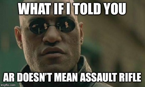 Matrix Morpheus Meme | WHAT IF I TOLD YOU AR DOESN’T MEAN ASSAULT RIFLE | image tagged in memes,matrix morpheus | made w/ Imgflip meme maker