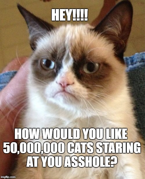 Grumpy Cat | HEY!!!! HOW WOULD YOU LIKE 50,000,000 CATS STARING AT YOU ASSHOLE? | image tagged in memes,grumpy cat | made w/ Imgflip meme maker