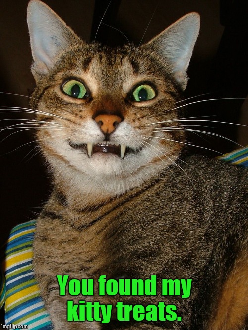 You found my kitty treats. | made w/ Imgflip meme maker