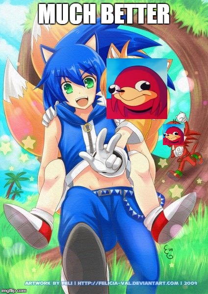 Much better... | MUCH BETTER | image tagged in sonic,tails,anime,ugandan knuckles | made w/ Imgflip meme maker