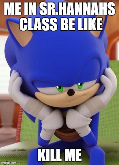 Mago students only | ME IN SR.HANNAHS CLASS BE LIKE; KILL ME | image tagged in disappointed sonic,kys,class | made w/ Imgflip meme maker