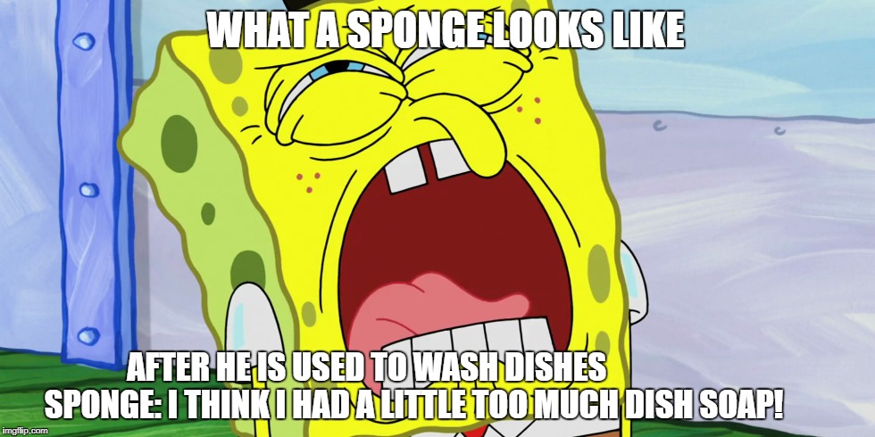 Sponge Bob Meme | WHAT A SPONGE LOOKS LIKE; AFTER HE IS USED TO WASH DISHES
     







 SPONGE: I THINK I HAD A LITTLE TOO MUCH DISH SOAP! | image tagged in spongebob | made w/ Imgflip meme maker
