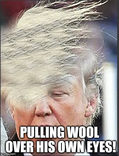 DUMP TRUMP | PULLING WOOL OVER HIS OWN EYES! | image tagged in dump trump,donald trump,political meme,nevertrump | made w/ Imgflip meme maker