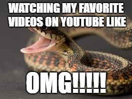 Warning Snake | WATCHING MY FAVORITE VIDEOS ON YOUTUBE LIKE; OMG!!!!! | image tagged in warning snake | made w/ Imgflip meme maker