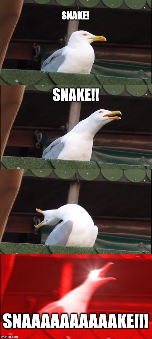 Inhaling Seagull Meme | SNAKE! SNAKE!! SNAAAAAAAAAAKE!!! | image tagged in memes,inhaling seagull | made w/ Imgflip meme maker