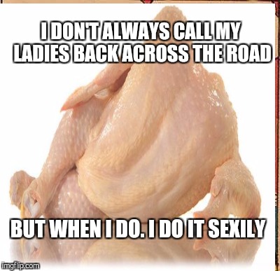 I DON'T ALWAYS CALL MY LADIES BACK ACROSS THE ROAD BUT WHEN I DO. I DO IT SEXILY | made w/ Imgflip meme maker