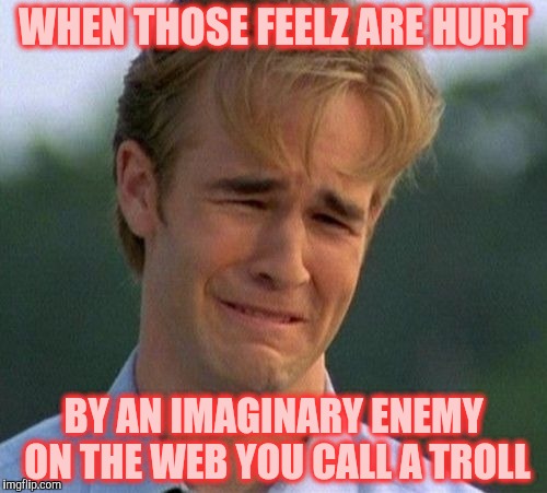 1990s First World Problems Meme | WHEN THOSE FEELZ ARE HURT; BY AN IMAGINARY ENEMY ON THE WEB YOU CALL A TROLL | image tagged in memes,1990s first world problems | made w/ Imgflip meme maker
