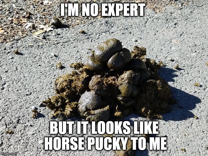 I'M NO EXPERT; BUT IT LOOKS LIKE HORSE PUCKY TO ME | image tagged in horse | made w/ Imgflip meme maker