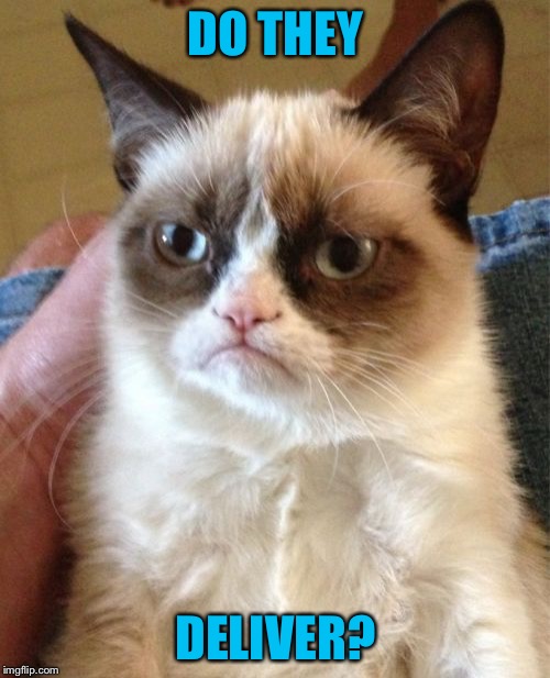 Grumpy Cat Meme | DO THEY DELIVER? | image tagged in memes,grumpy cat | made w/ Imgflip meme maker