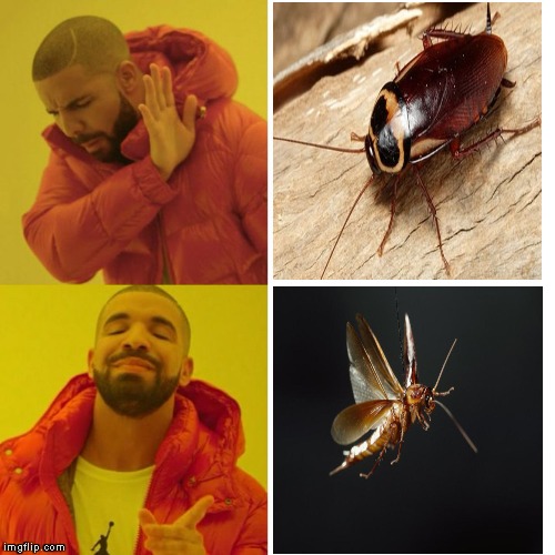 Drake Blank | image tagged in drake blank | made w/ Imgflip meme maker