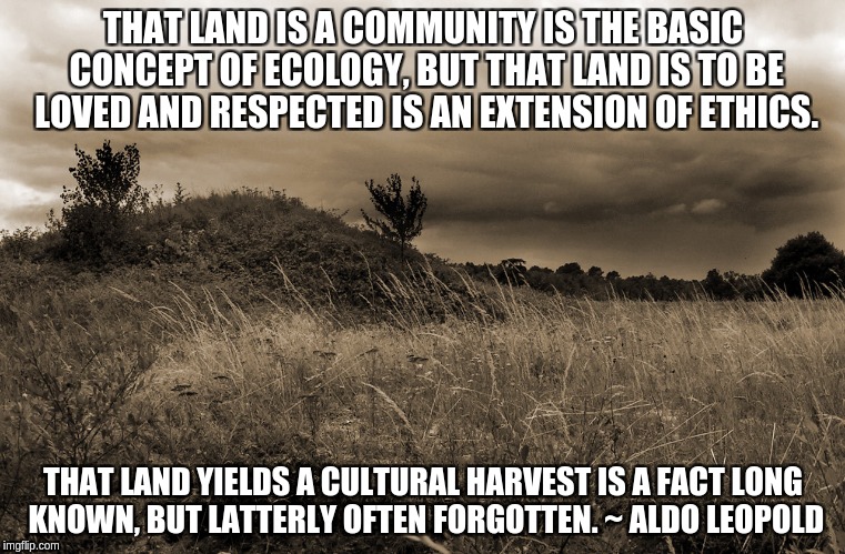 A Cultural Harvest | THAT LAND IS A COMMUNITY IS THE BASIC CONCEPT OF ECOLOGY, BUT THAT LAND IS TO BE LOVED AND RESPECTED IS AN EXTENSION OF ETHICS. THAT LAND YIELDS A CULTURAL HARVEST IS A FACT LONG KNOWN, BUT LATTERLY OFTEN FORGOTTEN. ~ ALDO LEOPOLD | image tagged in environment,culture,quote | made w/ Imgflip meme maker