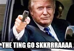 trump gun | THE TING GO SKKRRRAAAA | image tagged in trump gun | made w/ Imgflip meme maker