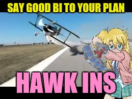 SAY GOOD BI TO YOUR PLAN HAWK INS | made w/ Imgflip meme maker