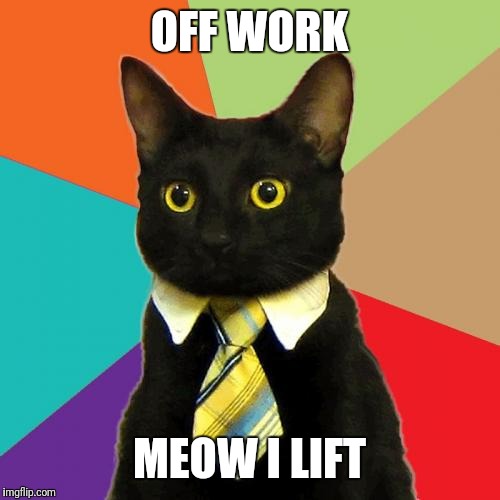 Business Cat Meme | OFF WORK; MEOW I LIFT | image tagged in memes,business cat | made w/ Imgflip meme maker